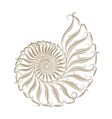 Nautilus Group Cleaning Services nautilus shell logo